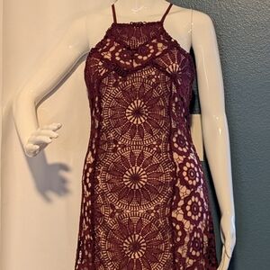 Francesca's Collections Burgundy Lace Dress
